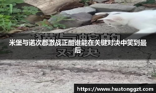 DB电竞平台